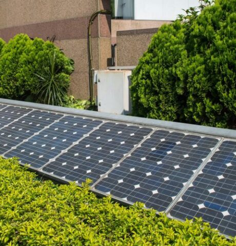 service-img-09-770x500